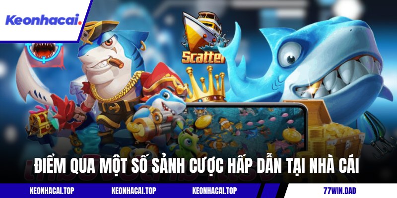 Điểm qua một số chuyên mục độc đáo tại nhà cái